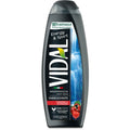 VIDAL GINSENG E GUARANA' BAGNOSCHIUMA 500 ML - Profumeria Cera