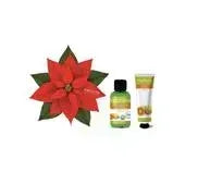 AMOVITA ALBERO DELLA VITA STELLA DI NATALE COFANETTO BAGNO+CREMA MANI - Profumeria Cera